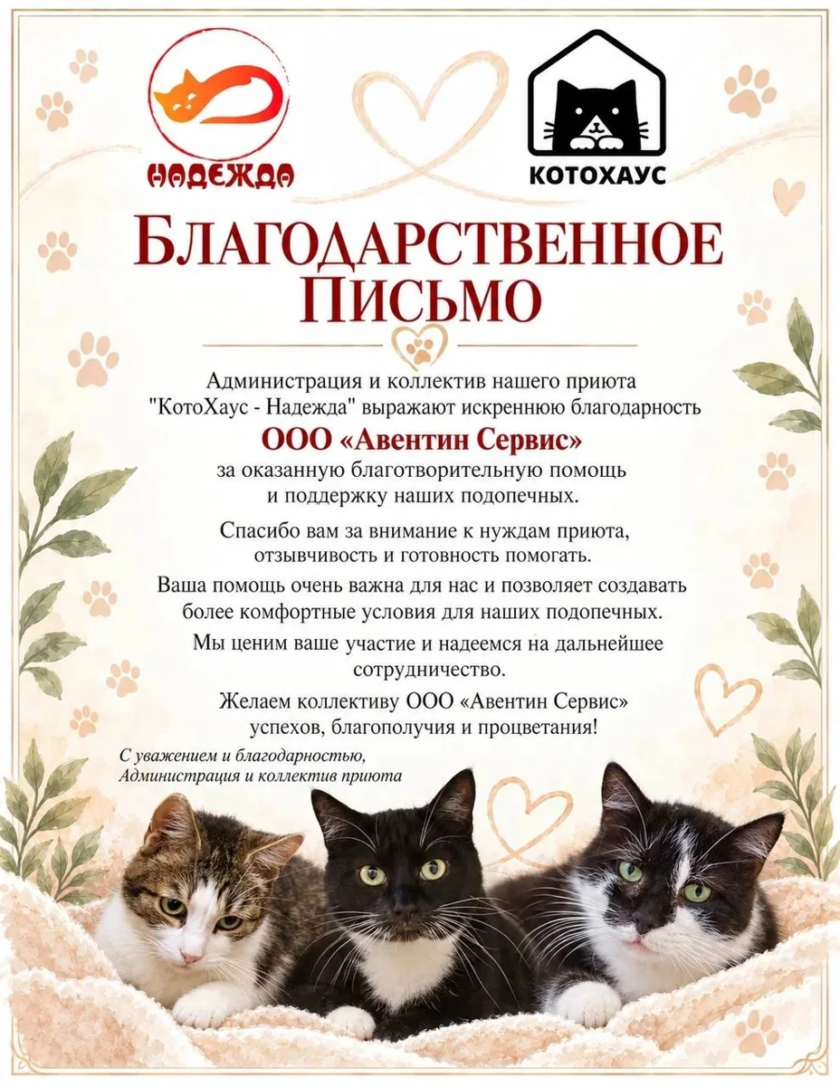 Благодарственное письмо приюта «Котохаус» компании «Авентин Сервис»