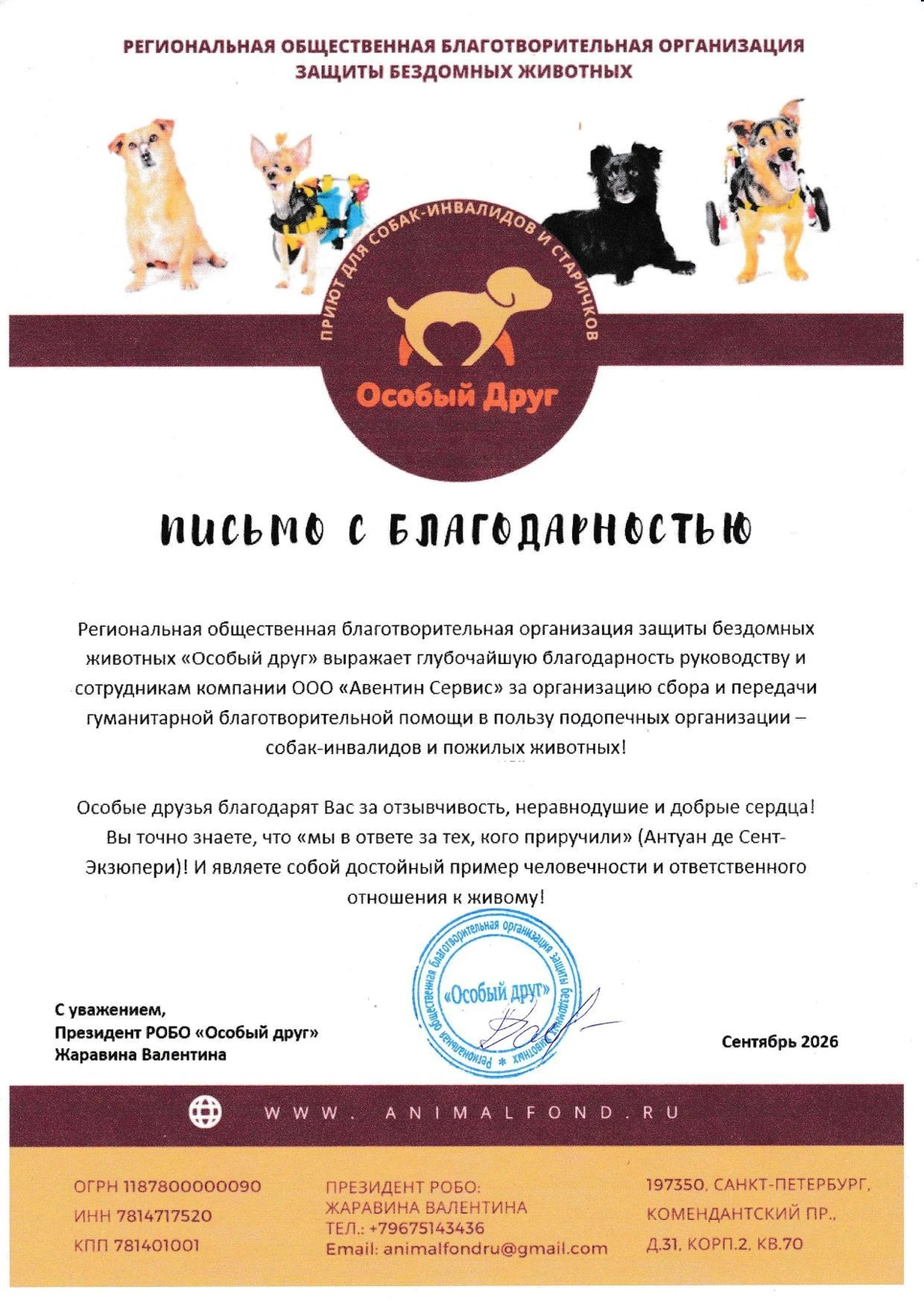 Благодарственное письмо: Помощь приюту «Особый друг»